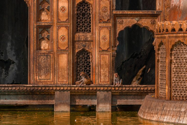 Sur les chemins de l’Inde – 2018